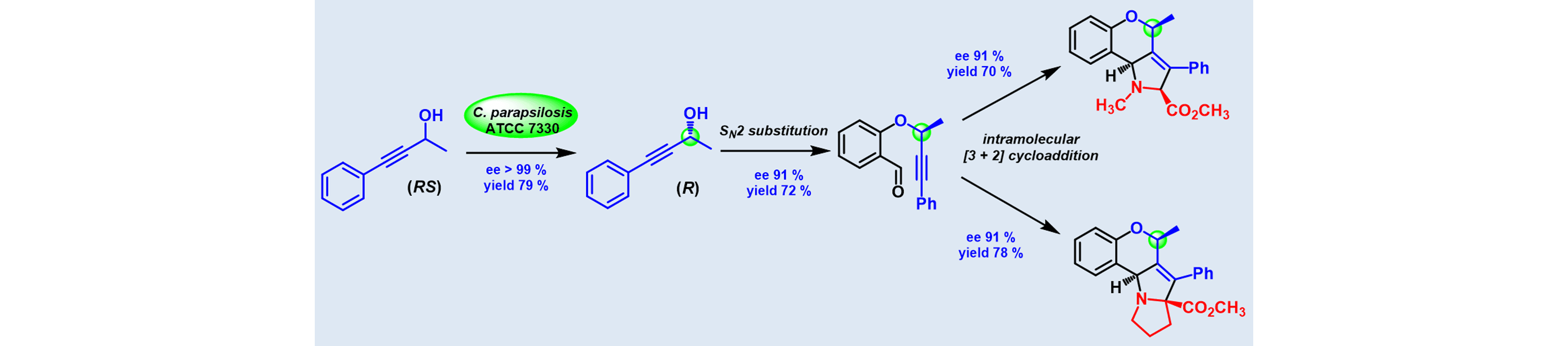 Utilization of Whole cell Mediated Deracemization in a Chemoenzymatic Synthesis of Enantiomerically Enriched Polycyclic Chromeno[4,3-b] pyrrolidines