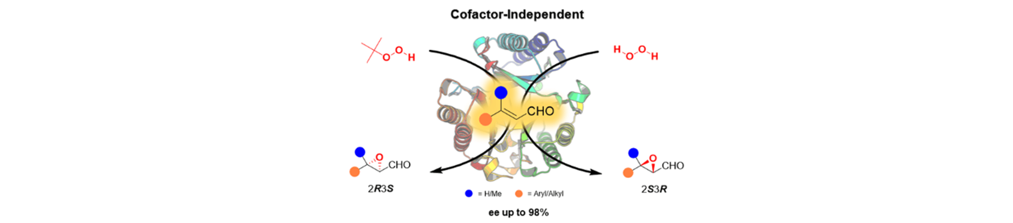 Enantiocomplementary Epoxidation Reactions Catalyzed by an Engineered Cofactor-Independent Non-natural Peroxygenase