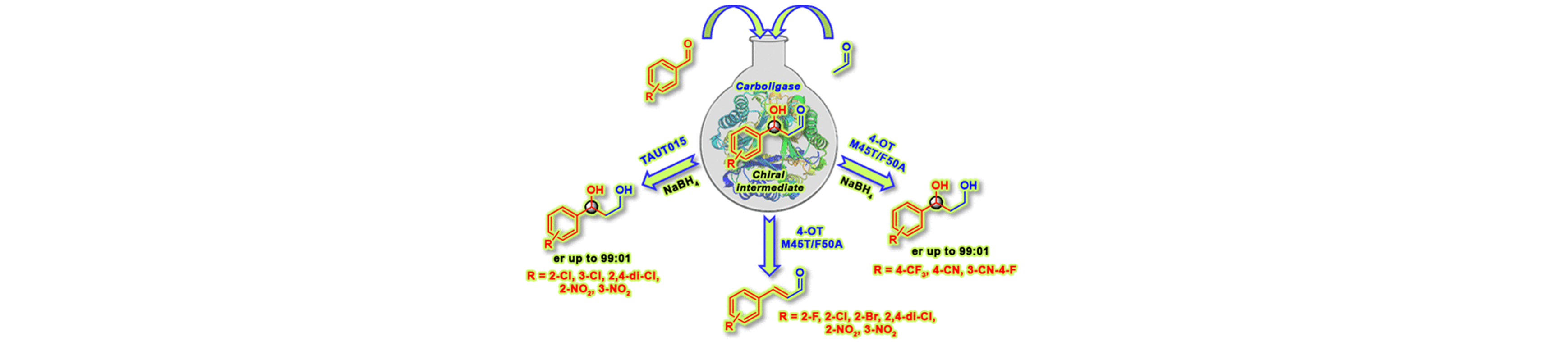 Enantioselective Aldol Addition of Acetaldehyde to Aromatic Aldehydes Catalyzed by Proline-Based Carboligases