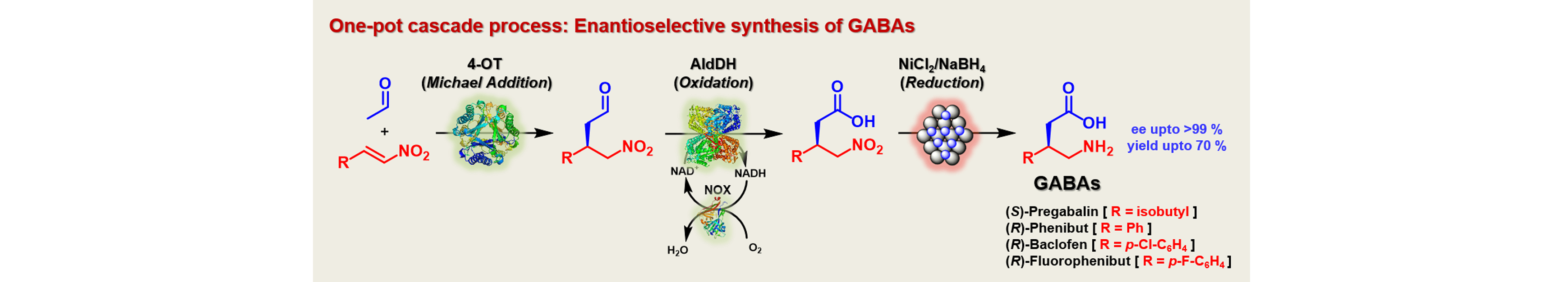 Enantioselective Synthesis of Pharmaceutically Active γ-Aminobutyric Acids Using a Tailor-Made Artificial Michaelase in One-Pot Cascade Reactions