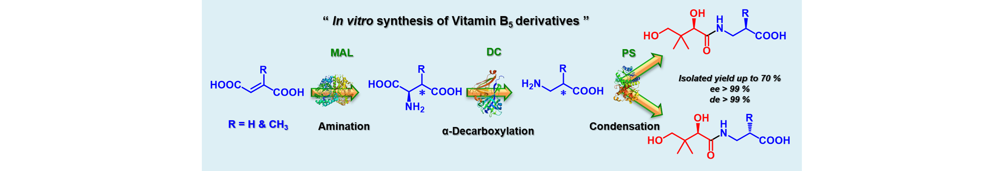 Modular Enzymatic Cascade Synthesis of Vitamin B5 and Its Derivatives