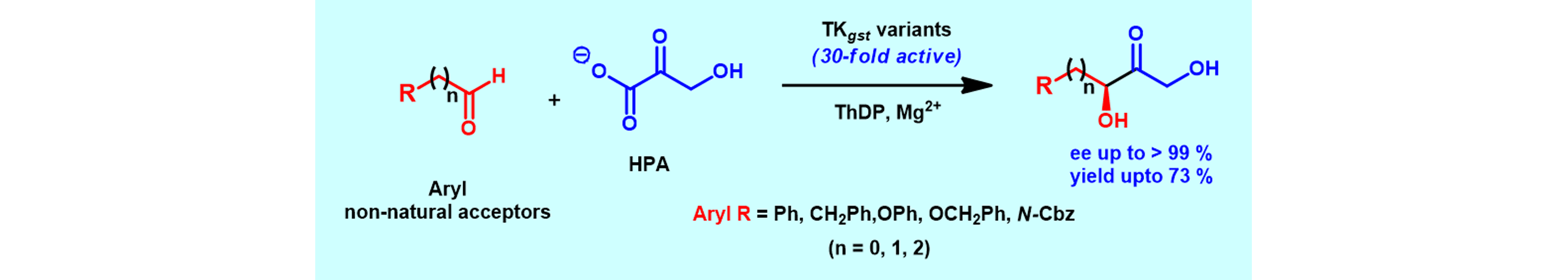 Engineering a Thermostable Transketolase for Arylated Substrates
