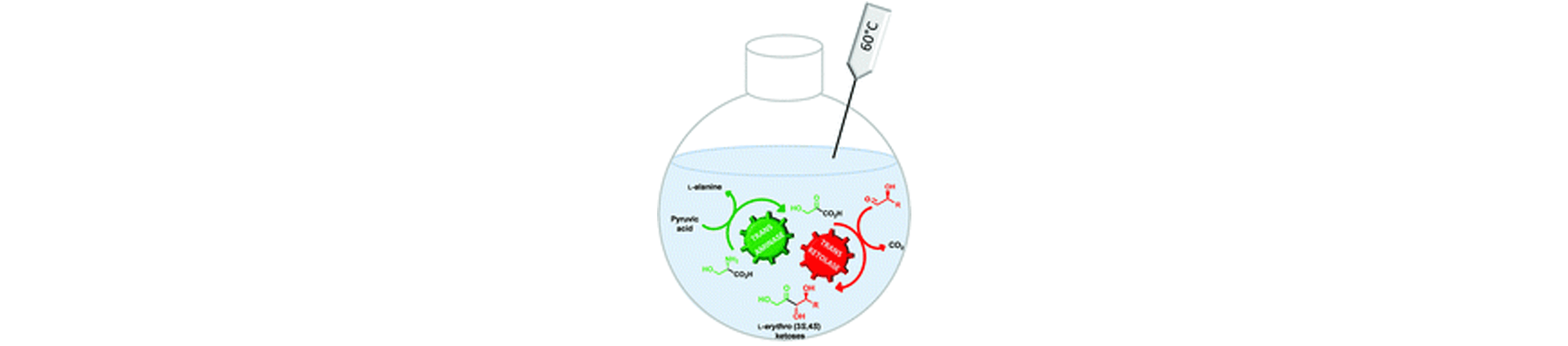 One-Pot, Two-Step Cascade Synthesis of Naturally Rare L-erythro (3S,4S) ketoses by Coupling a Thermostable Transaminase and Transketolase
