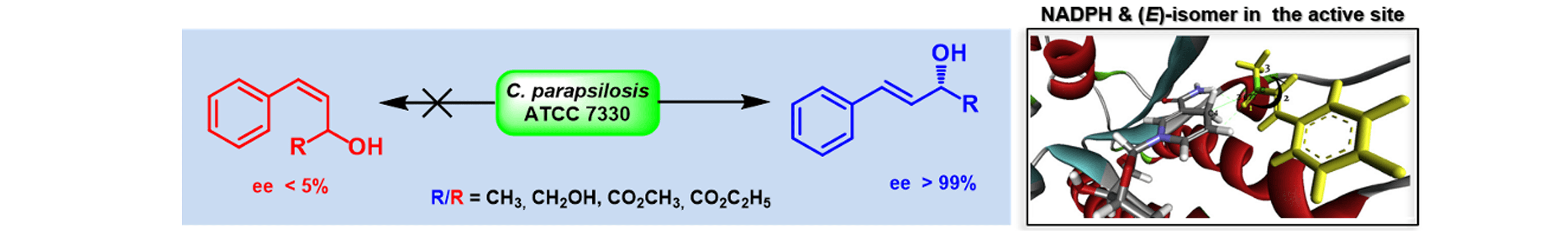 Stereochemical Preference in Candida parapsilosis ATCC 7330 mediated Deracemization: (E) vs. (Z)-Alkyl-2-hydroxy-4-arylbut-3-enoate