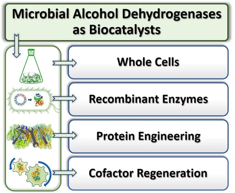 Microbial alcohol dehydrogenases: recent developments and applications in asymmetric synthesis
