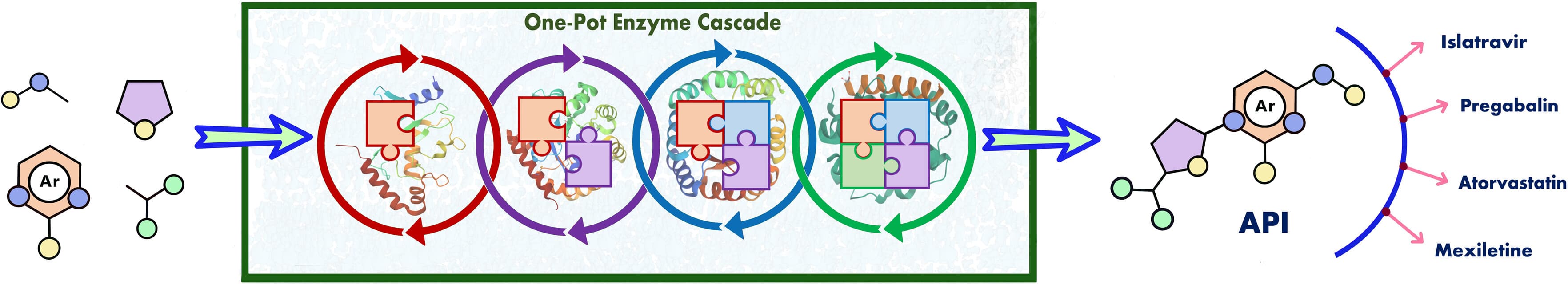 Evaluating Multienzyme Cascade Routes for Pharmaceutically Relevant Molecules