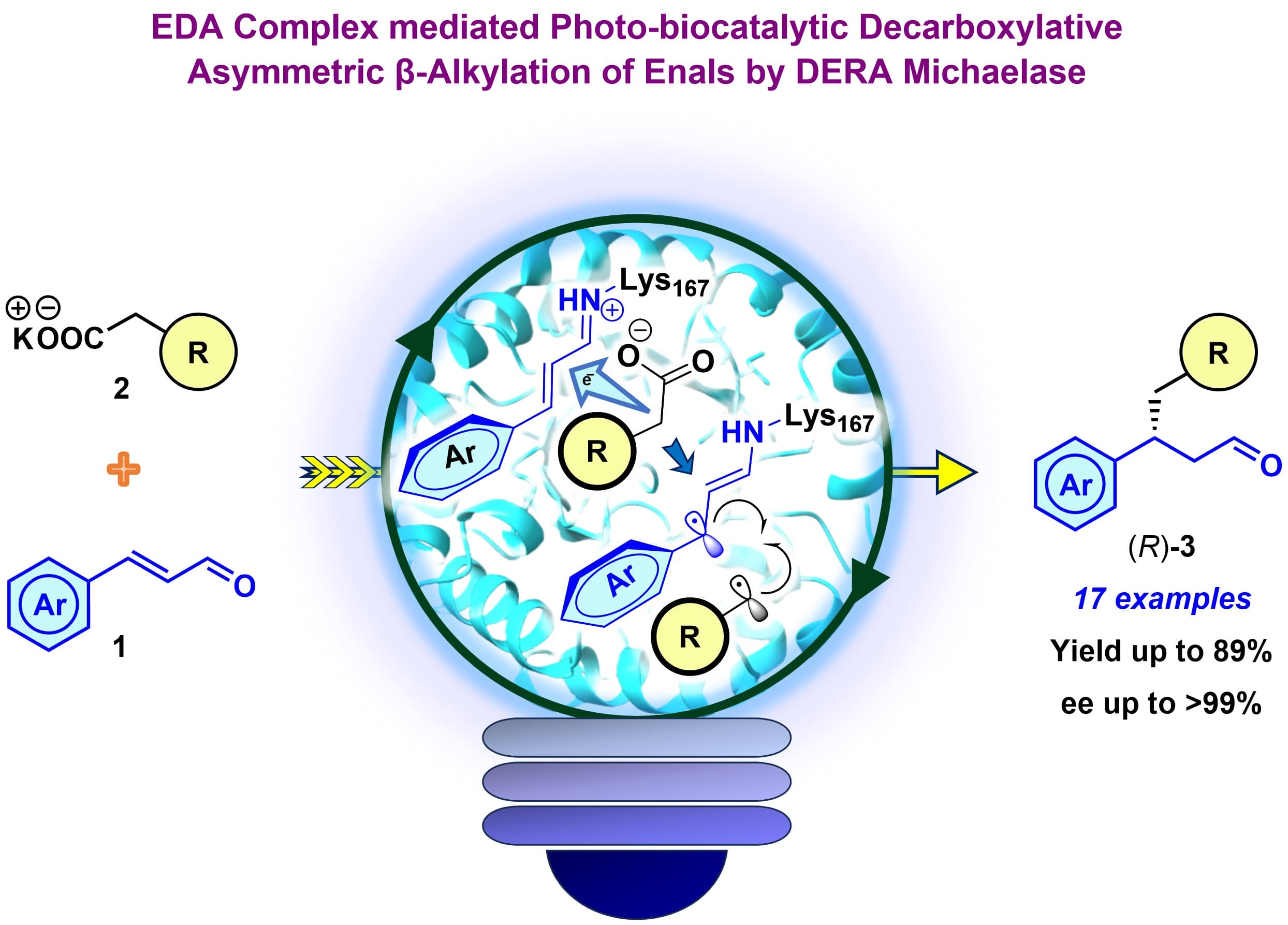 “Excited” Class I Aldolases: EDA Complex Mediated Photo-biocatalytic Enantioselective β-Alkylation of Enals